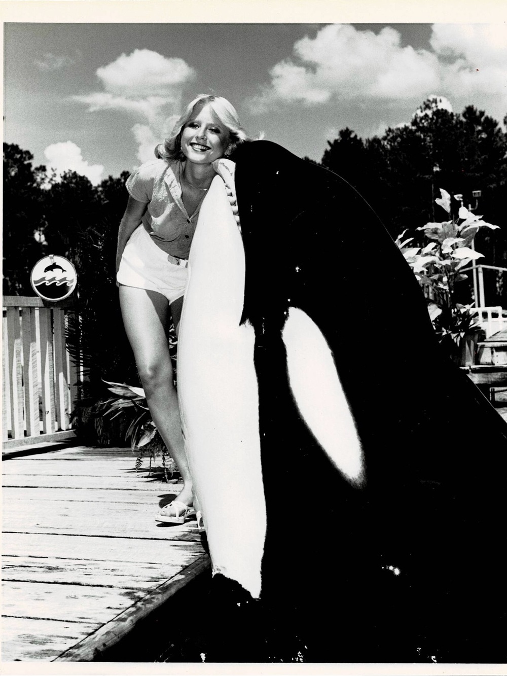 Vintage Sea World photo - woman with killer whale circa 1980s